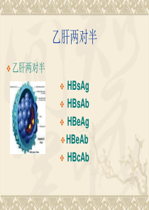 乙肝五项课件