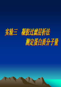 凝胶过滤层析法测定蛋白质分子量