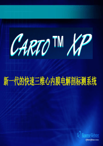 CARTO技术原理-print