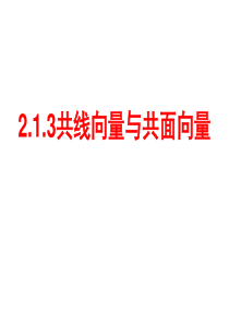 3.1.3空间向量的共线与共面问题汇总