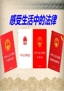 生活中的法律知识课件