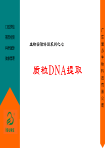 质粒DNA提取