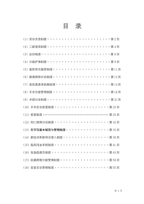 18项医疗质量安全核心制度（DOC58页）