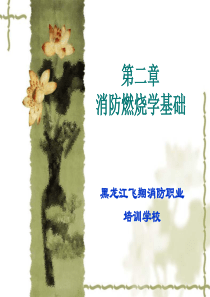 第二章-消防燃烧学基础..