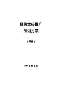 品牌宣传推广策划方案综述