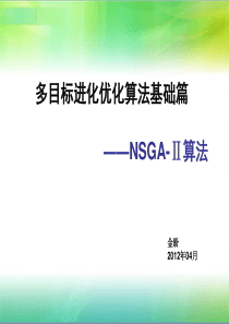 NSGA-Ⅱ算法大量测试函数实验结果展示