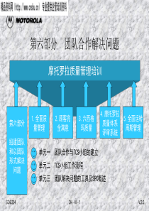 摩托罗拉质量管理培训六-团队合作解决问题(PPT)