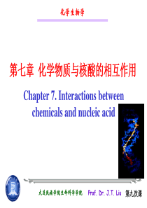 化学生物学第七章 化学物质与核酸相互作用资料