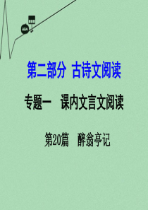 【湖南中考面对面】2016年中考语文 第二部分 古诗文阅读 专题1 第20篇 醉翁亭记复习课件 新人