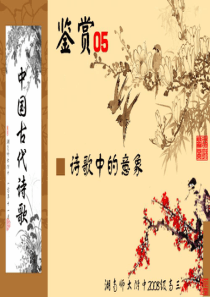 【湖南师大内部资料】高三语文复习课件：(古代诗歌鉴赏05(意象)