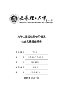 关于大学生盗版软件使用情况的社会实践调查