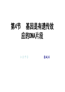 高二生物基因是有遗传效应的dna片段