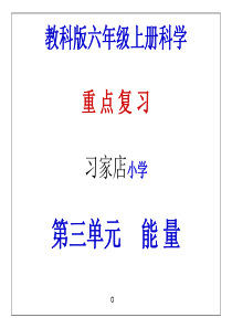 教科版六年级上册科学第三单元复习总结课件