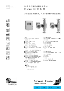 E+H质量流量计