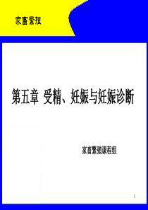 第五章受精、妊娠与妊娠诊断