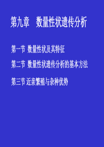 第九章  数量性状遗传分析