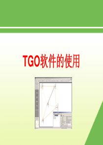 TGO使用