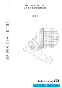 EH质量流量计80系列功能描述