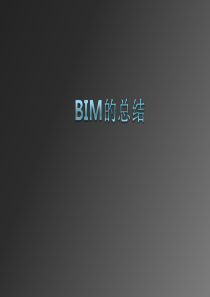 BIM的总结