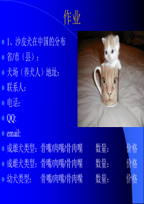 养猫学第二章 猫的品种