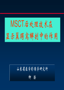 翼腭窝解剖--msct-