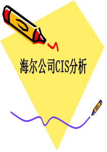 海尔CIS分析