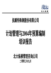 北大纵横为某公司做的计划管理与2004年预算编制培训报告