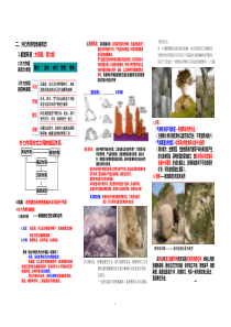 4.3外力作用和地貌