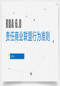 RBA-6.0-培训教材