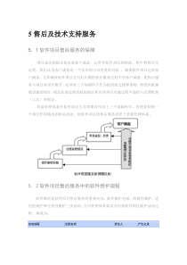 软件系统售后服务