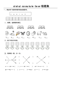 汉语拼音aieiuiaoouiuieueer错题集