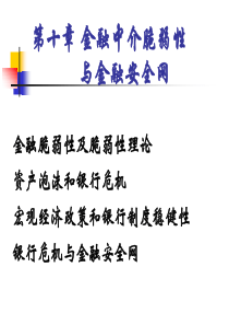 第十章 金融中介脆弱性与金融安全网