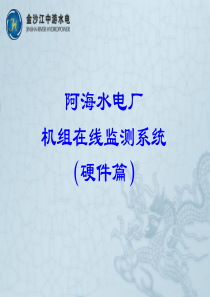 阿海水电厂机组在线监测系统及其相关传感器原理介绍(华科同安TN8000)