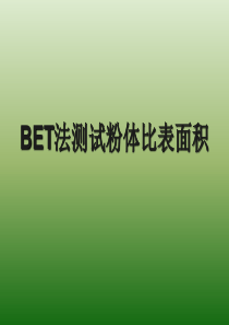 BET比表面吸附实验-e