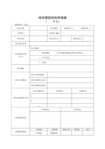 项目绩效目标申报表模板