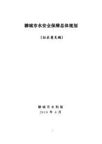 聊城水安全保障总体规划