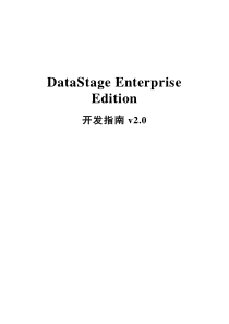 ETL开发指南(DataStage EE)V2.0