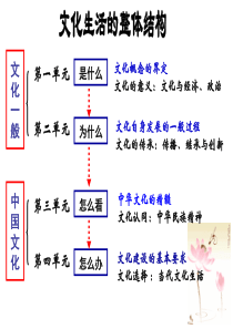 第一课 文化与社会第一框题体味文化