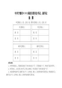 09党委书记、副书记选票(样例)1