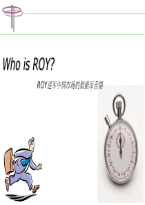 ROY数据库营销策划方案