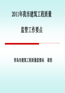 XXXX年质量监管工作要点(修改)