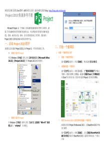 Project2013教程