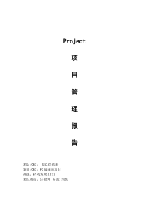 PROJECT项目管理报告