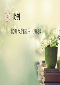 比例尺的应用例3