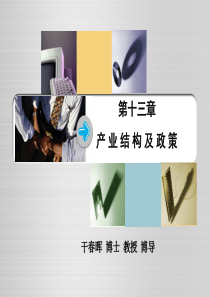 产业经济学教程第十四章