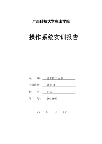 鹿山学院-操作系统实训报告