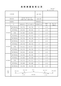 市政道路高程测量表格