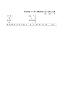 内部质量（环境）审核检查及现场观察记录表