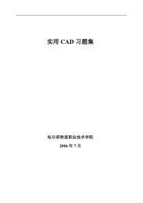 实用CAD习题集