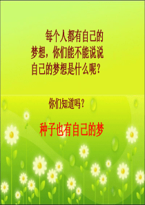 《种子的梦》教学课件